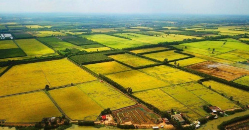Tình hình đất nông nghiệp của Việt Nam