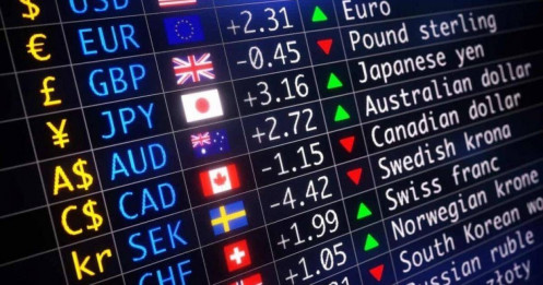 NHNN không cấp phép sàn Forex, chỉ đề xuất cơ chế cho tiền kỹ thuật số