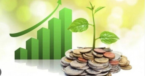 6 DN sắp trả cổ tức bằng tiền, cao nhất gần 36%