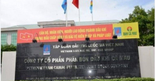 DCM - Kỳ vọng tăng trưởng ổn định (Kỳ 2)