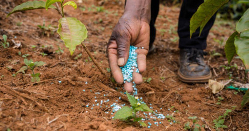 Ấn Độ - Pakistan căng thẳng: Cổ phiếu phân bón bứt phá mạnh!