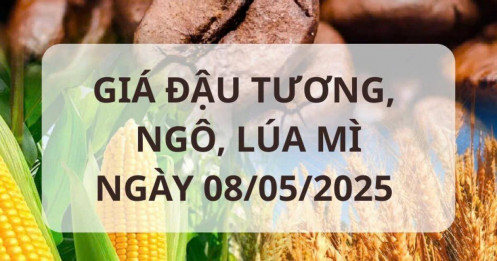 Giá Nông Sản Mỹ Giảm Nhẹ Dù Căng Thẳng Mỹ - Trung Có Dấu Hiệu Hạ Nhiệt