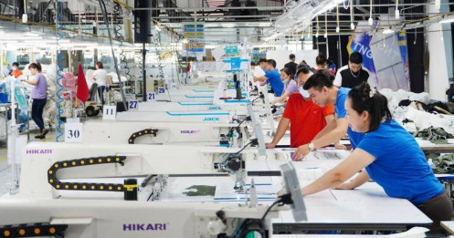 Cổ Phiếu TNG – Nên Mua, Bán Hay Chờ?