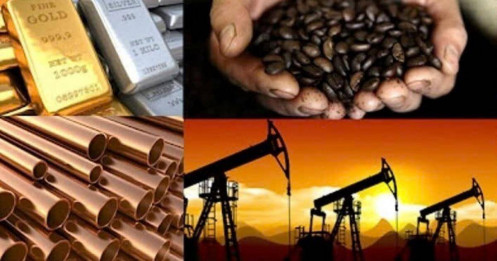 Toàn cảnh thị trường hàng hóa: Cơ hội, rủi ro và tại sao nên đầu tư?