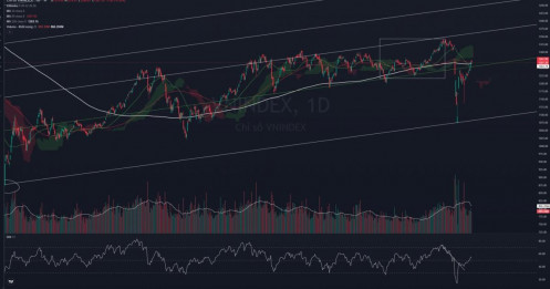 Thị trường chứng khoán: Tín hiệu tích cực trở lại, nhưng rủi ro phân hóa ngày càng rõ