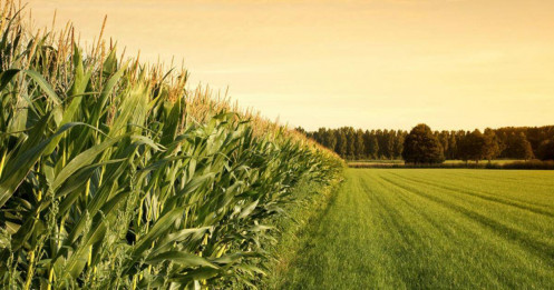 Tuần lễ kinh tế đầy biến động: Các báo cáo lạm phát, phát biểu của FED và diễn biến thương mại Mỹ - Trung đặt áp lực lên toàn thị trường