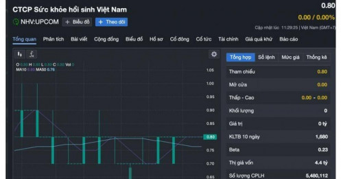 Một công ty ứng gần 96% tài sản cho tổng giám đốc đi đầu tư tài chính