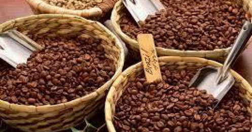 Giá Cà Phê Ngày 14/5/2025: Robusta Vượt Mốc 5.100 USD/tấn, Thị Trường Đảo Chiều Mạnh Mẽ