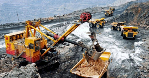 HGM: Cổ phiếu từng rơi tự do nay thành “con gà đẻ trứng vàng”?