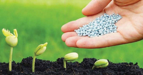 ABS "chỉ điểm" 3 mã phân bón sáng giá, dư địa tăng tới 34%
