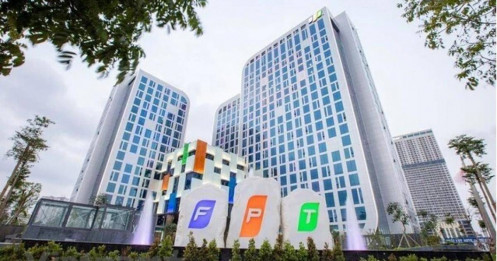 Công ty họ FPT sắp trả cổ tức tiền mặt tỷ lệ 100%