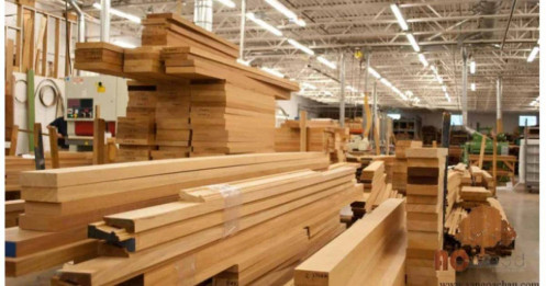 Ngành gỗ: Lợi nhuận “rụng lá” giữa rừng doanh thu