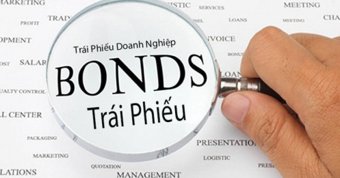 Hoạt động phát hành trái phiếu doanh nghiệp sẽ duy trì ổn định trong năm 2025