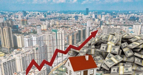 Nhìn Thấu Thị Trường Bất Động Sản Phía Nam 2025: Cơ Hội Trong "Lửa Thử Vàng"