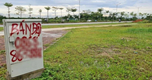 Đấu giá đất huyện Mỹ Đức, Phúc Thọ ở Hà Nội: Cao nhất gần 53 triệu đồng/m2