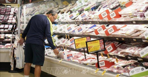 Sự phục hồi của thị trường: Trái ngược với kỳ vọng ban đầu