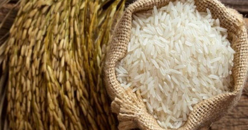 Quý I/2025: Ngành gạo "chìm sâu" trong thua lỗ.