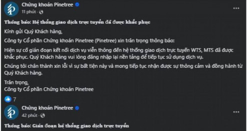 Chứng khoán Pinetree gặp sự cố hệ thống giao dịch sáng 21/05
