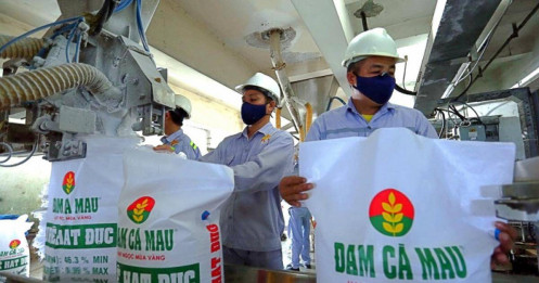 Đạm Cà Mau (DCM): Tham vọng mở rộng sang nông sản, đặt mục tiêu doanh thu xuất khẩu 20.000 tỷ đồng/năm