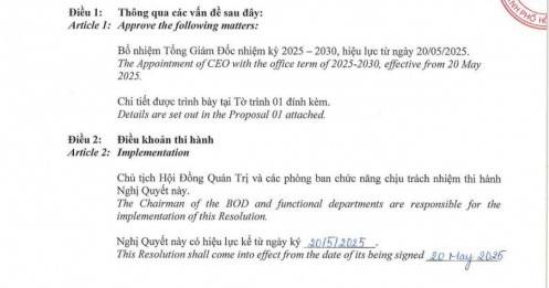 VNG chính thức có CEO mới