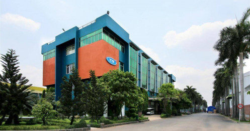 Gỗ Trường Thành: Nợ nghìn tỷ, thuế "đeo bám".