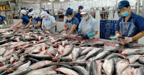 Thị trường hồi phục, doanh nghiệp ngành cá tra "ăn nên làm ra"