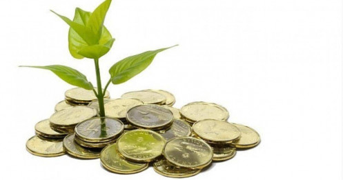 12 DN sắp trả cổ tức bằng tiền, cao nhất 88%