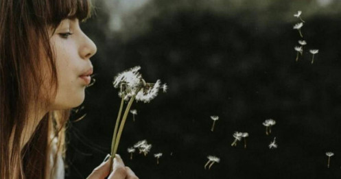 5 cách sống đơn giản để có một cuộc đời viên mãn