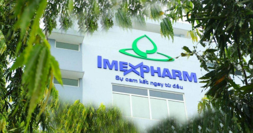 IMP – Tiềm năng tăng trưởng bền vững trong năm 2025