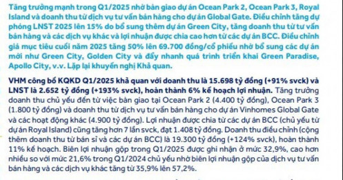 ACBS dự đoán VHM lãi ròng hơn 35.000 tỷ đồng, 8 dự án mới dự kiến mở bán trong năm 2025