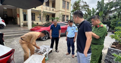 Nóng tại Quảng Ninh: Phát hiện một hộ kinh doanh có hơn 2.000 kg thực phẩm không rõ nguồn gốc, hộ khác có 5,6 triệu con ngao hoa giống không rõ xuất xứ