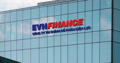 EVF: Cơ hội đầu tư từ nền tảng vững chắc?