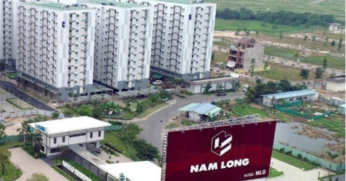 NLG – Đặt kỳ vọng lớn cho 3 năm tới