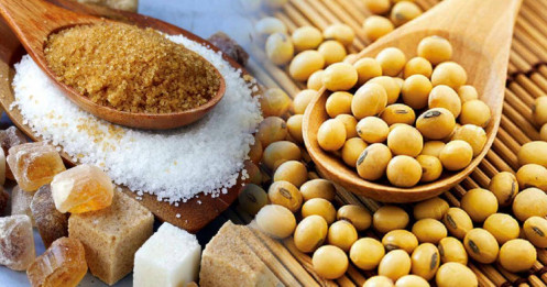 Thị trường nông sản ngày 23/5: Đậu tương và ngô giữ đà tăng, dầu đậu tương giảm nhẹ!