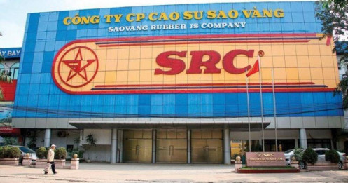 SRC: Chốt ngày trả cổ tức 2024 bằng tiền, Tập đoàn Hoành Sơn nhận về bao nhiêu?