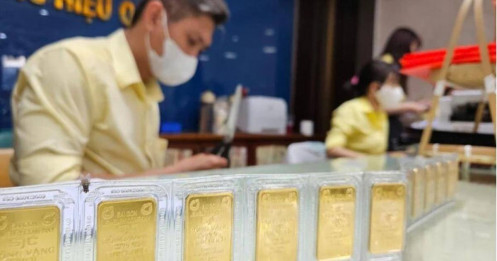 Nghiên cứu lập sàn giao dịch vàng