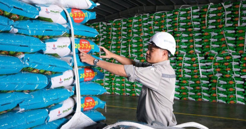 Cổ phiếu DPM: Sóng ngành phân bón - Cỗ máy tiền mặt?