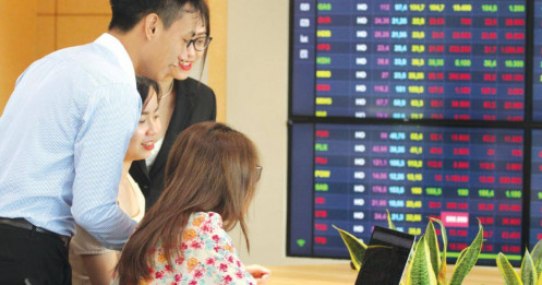 Bài viết HAY của chuyên gia