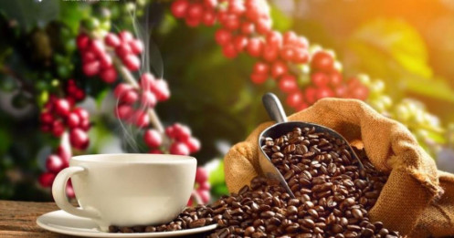Cà phê Arabica rơi đáy: Thị trường đang chuẩn bị cho cú bật hay tiếp tục suy yếu?