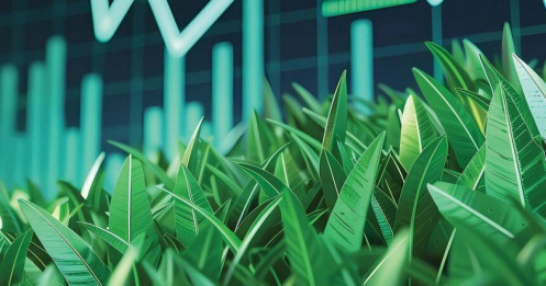 Mua cổ phiếu vượt đỉnh hay cổ phiếu chưa “về bờ”?