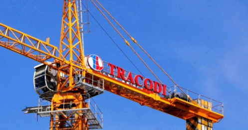 Trước thềm hạn chế, vợ Chủ tịch Tracodi (TCD) "nhanh tay" bán sạch cổ phiếu