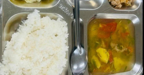 Tính thuế suất ăn trường học, chuyên gia cho rằng có thể áp dụng sai chính sách