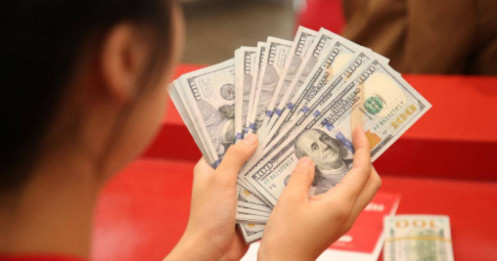 Vì sao Ngân hàng Nhà nước nghiêm cấm mua bán USD trái phép?