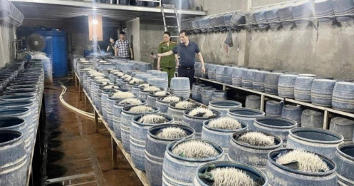 Hai cơ sở dùng hóa chất độc hại sản xuất hàng trăm tấn giá đỗ