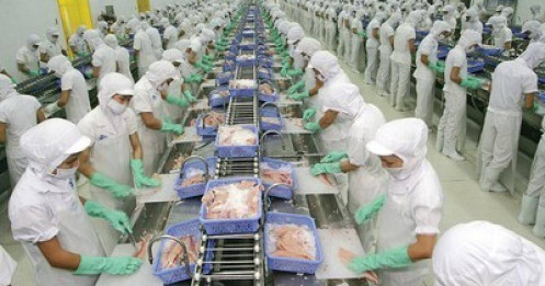 Công ty cổ phần Vĩnh Hoàn