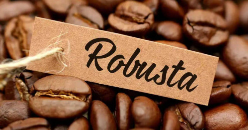 Khủng hoảng chênh lệch giá Robusta Việt Nam – Một năm nhìn lại