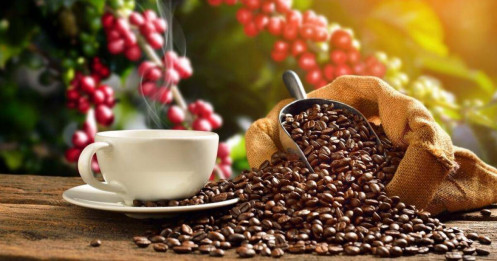 Giá Cà Phê Ngày 28/5/2025: Robusta Tiếp Tục Giảm Sâu – Arabica Có Dấu Hiệu Phục Hồi Nhẹ
