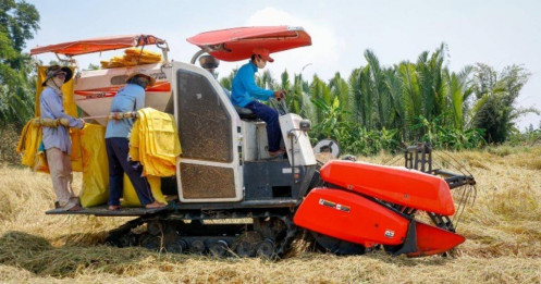 VCCI kiến nghị bỏ rào cản với doanh nghiệp xuất khẩu gạo