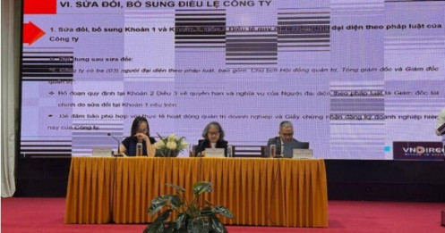TGĐ VNDirect: NĐT chưa bán là chưa lỗ, mong cổ đông kiên nhẫn cùng công ty