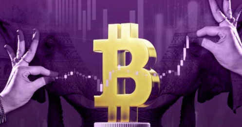 'Giải mã' lừa đảo đầu tư tiền ảo Polygon